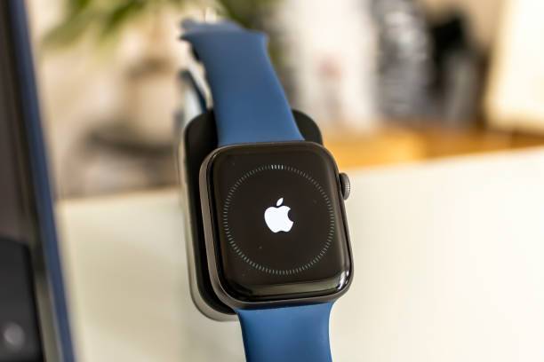 Is Apple Watch a gadget?